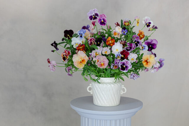 Bloom Where You're Planted: Creating a Seasonal...