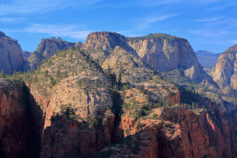 Family biking on the Pa'rus Trail in Zion National Park alongside the Virgin River, with trees and sunlight in the background.