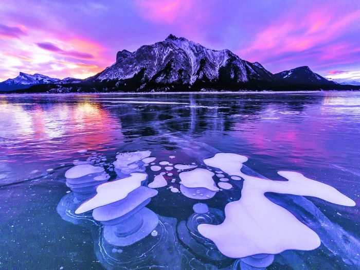 Close-up of methane ice bubbles frozen in Abraham Lake, creating a unique winter photography subject.