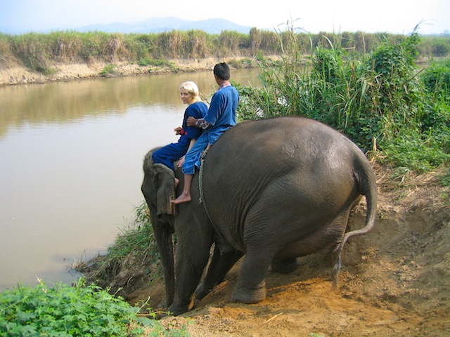 Anya Sharma, a 32-year-old travel blogger, smiles while standing near an elephant during the Elephant Learning Walk. Alt text: Anya Sharma interacting responsibly with an elephant during the Elephant Learning Walk, showcasing her commitment to ethical travel.