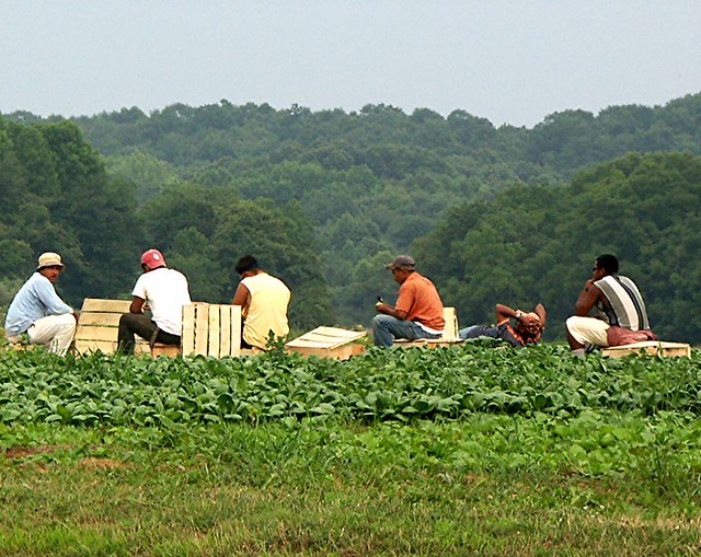 Revitalizing the Land: How Regenerative Agricult...