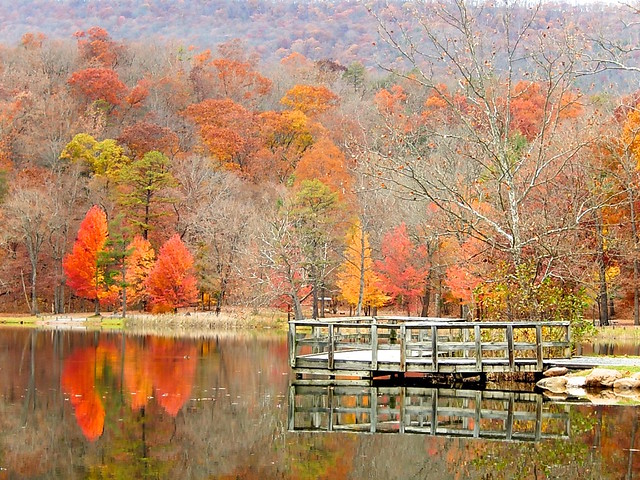 # Douthat State Park: A Birdwatcher's Paradise (an...