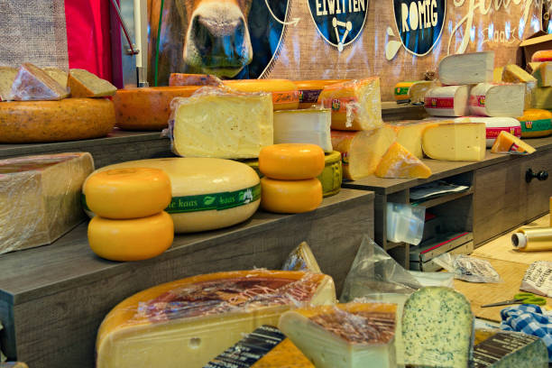 # The Flying Pig Downtown Amsterdam: A Budget Trav...