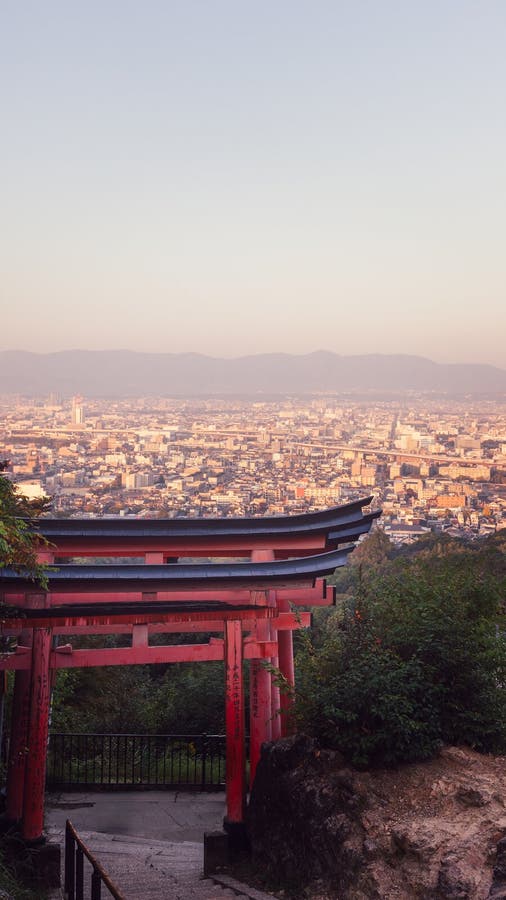 A wide-angle shot of Fushimi Inari Shrine at sunrise, capturing the scale of the torii gates and the golden light