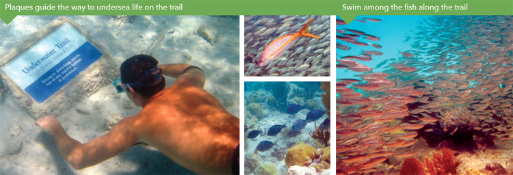 # Disconnect to Reconnect: Mindful Beach Escapes f...