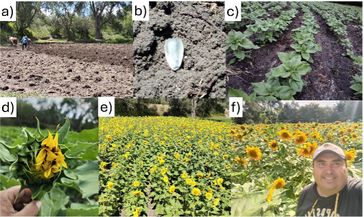 pollinator.org