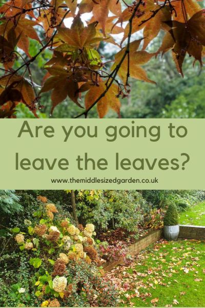 From Scraps to Soil: Year-Round Composting for...