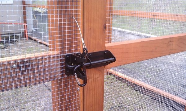 Interior of the coop showcasing roosting bars and nesting boxes