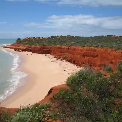 Millions of tiny white shells covering Shell Beach in Western Australia