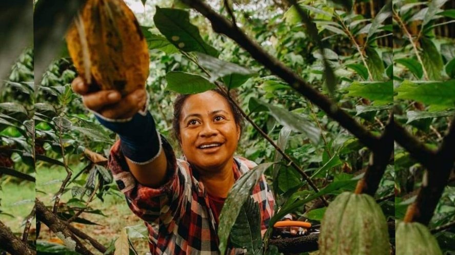 A To'onai feast at Taufua Beach Fales with traditional Samoan food