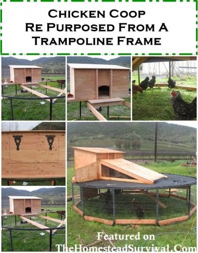 Various examples of DIY chicken coops built from reclaimed materials, showcasing creativity and resourcefulness