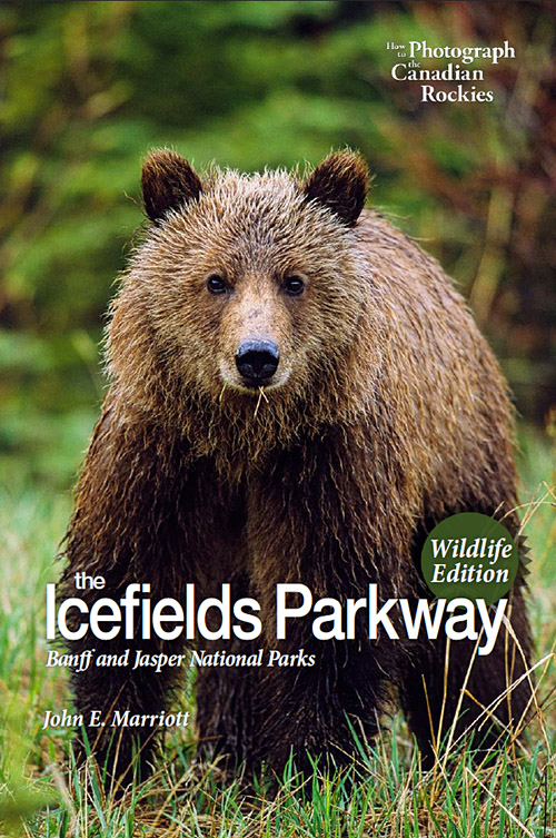 Lake Louise Charcuterie Board