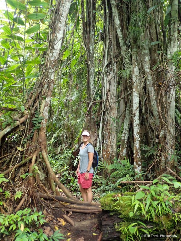 Black sand beach in Guadalcanal