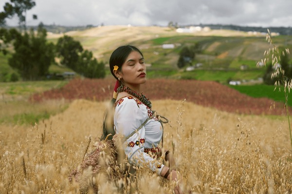 Ancient rock art in the Drakensberg Mountains, South Africa, depicting animals and human figures, representing the rich cultural heritage of the San people.