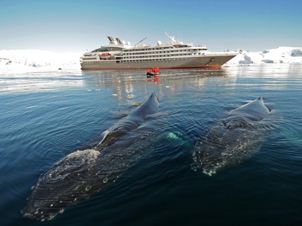 Dramatic icebergs under a midnight sun, illustrating the beauty of Antarctica