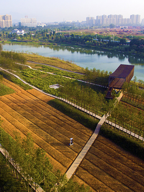 Oil rig silhouetted against the quiet desert horizon in the Empty Quarter