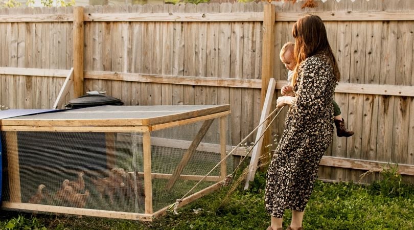Transform Your Homestead: Build a Budget-Friendl...