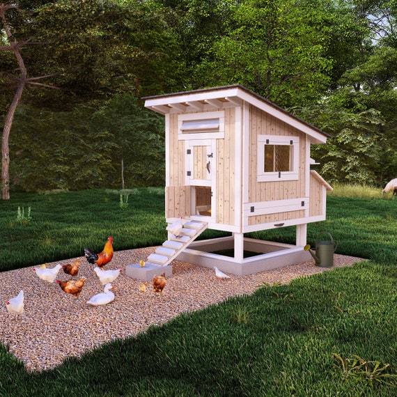 A handmade chicken coop plan