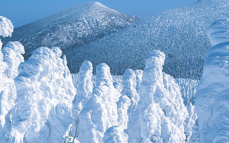 Zao Snow Monsters (Juhyo)