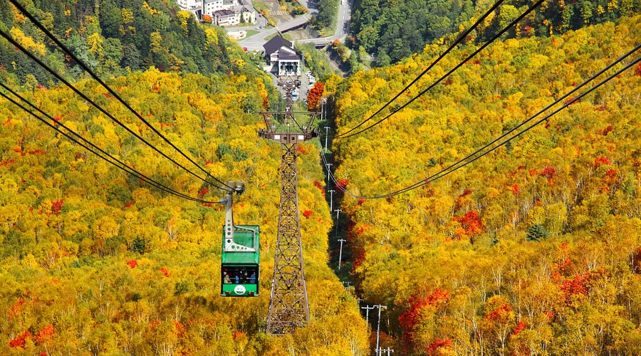 A medium shot showing an Ainu guide in traditional clothing leading a group of snowshoers through a snowy forest. Capture the warm, inviting light filtering through the trees. High resolution, medium depth of field, slightly warm color temperature to convey a sense of comfort and connection. Authentic, educational, respectful.