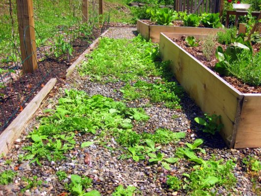 Ditch the Chemicals: Natural Cleaning Recipes F...