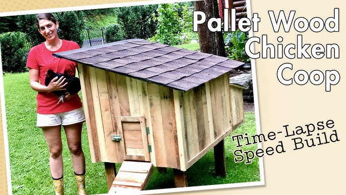 Completed Chicken Coop