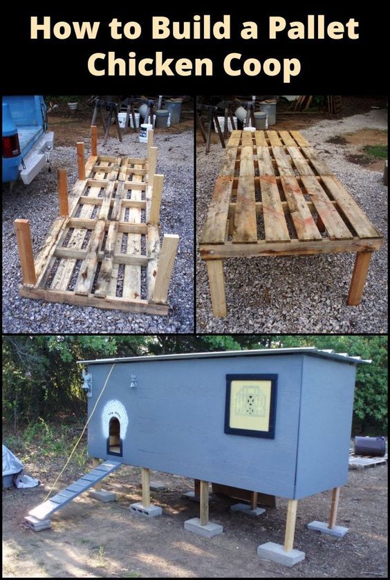Another chicken coop design using upcycled materials