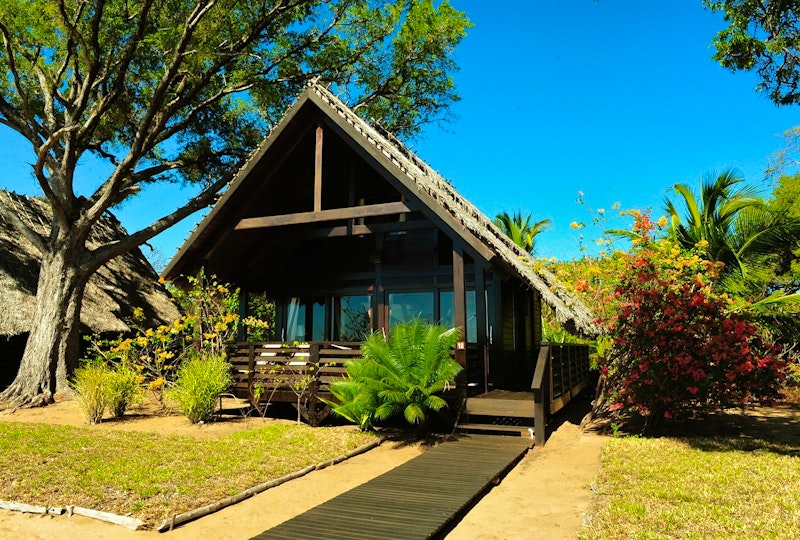 Madagascar Spiny Forest