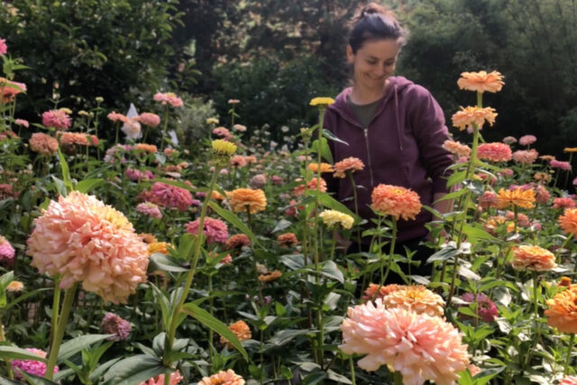 From Backyard to Beauty: Crafting Natural Dyes w...