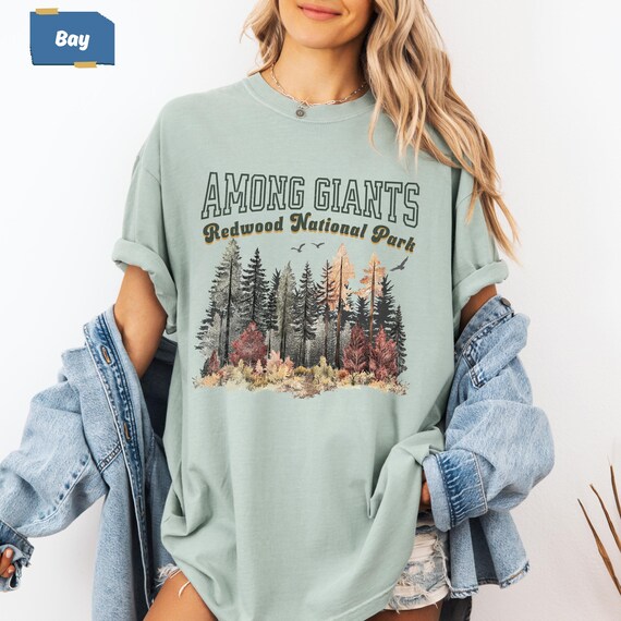 Elena and her kids driving into Pfeiffer Big Sur State Park. Capture the scene from the backseat, showing the winding road, towering redwoods, and the family looking ahead with a mix of excitement and nervousness. Low, soft natural light filtering through the trees.