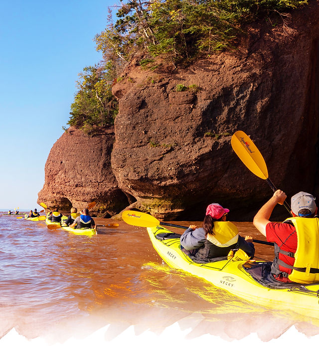 Rugged coastline of the Bay of Fundy, showing layers of sedimentary rock and a vibrant sunset.