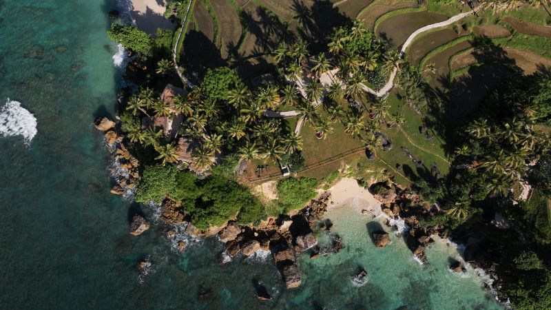 # Nihi Sumba: A Marine Biologist's Perspective on...