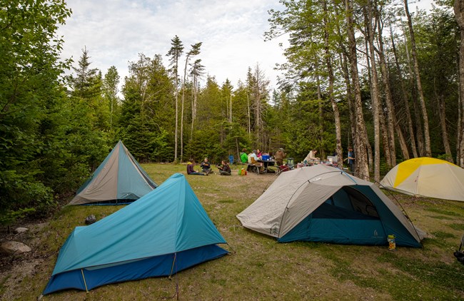 Yosemite Family Camping