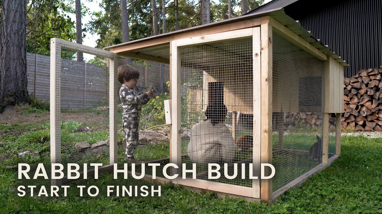 Hoppy Homesteading: Frugal & Eco-Friendly Rabbi...