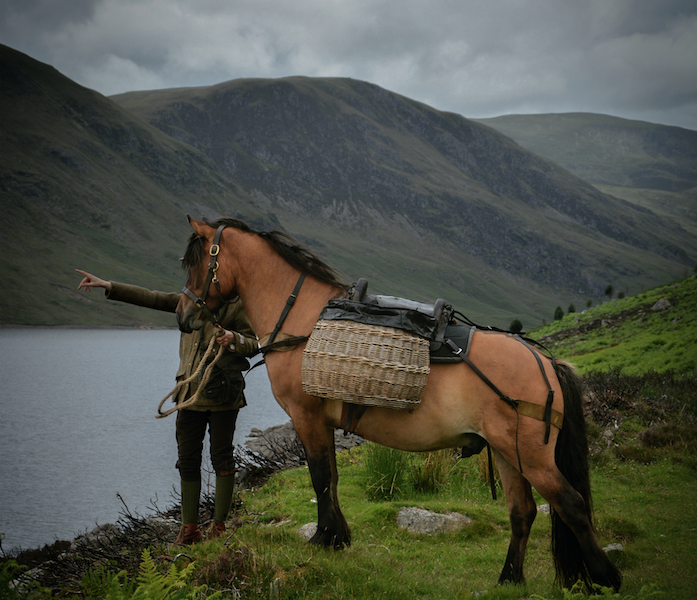 Bertie's Bar Interior