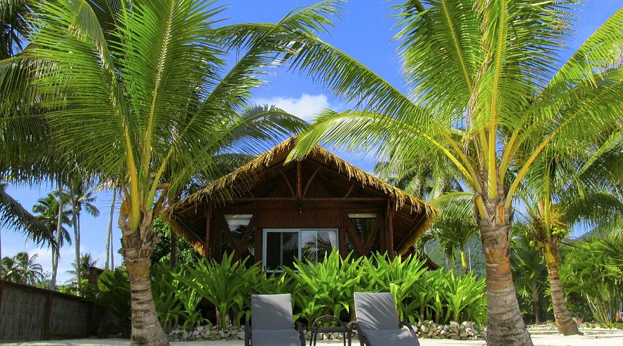 # Rarotonga by E-Bike: A Digital Nomad's Eco-Frien...