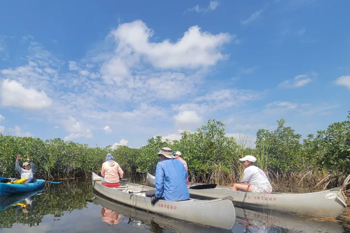 Everglades National Park landscape