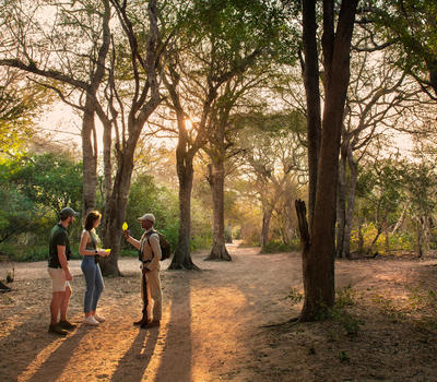 Students working in the Singita Community Culinary School and the dishes made from local ingredients