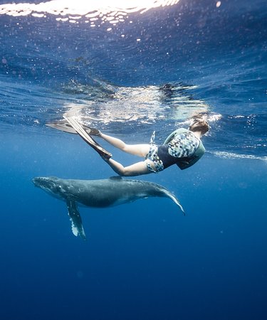 Wide-angle shot of Vava'u's turquoise waters meeting the lush green islands at sunrise. Drone shot, slight golden hour lighting, vibrant colors. Technical: 4K, high dynamic range.