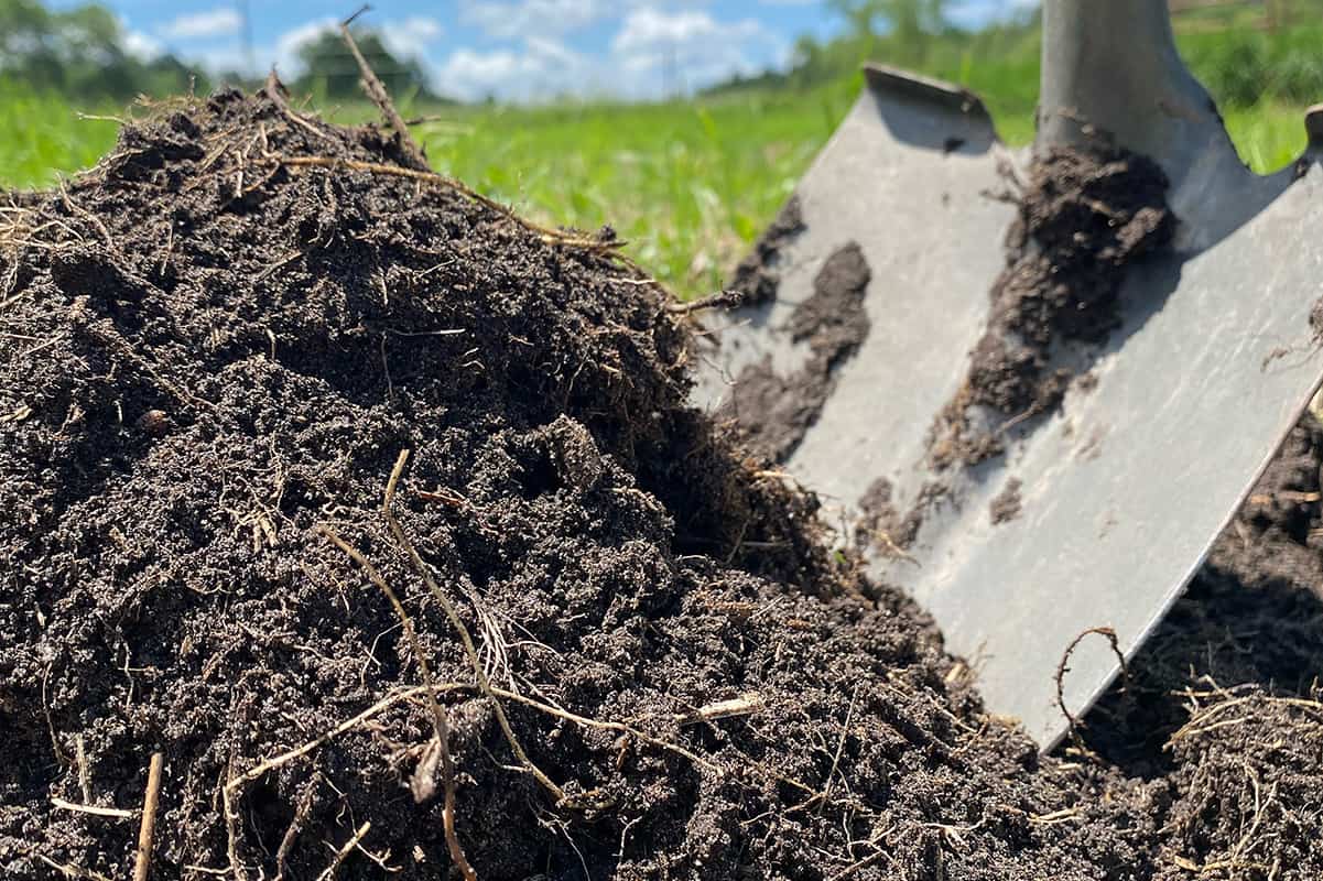 compost pile stages decomposition