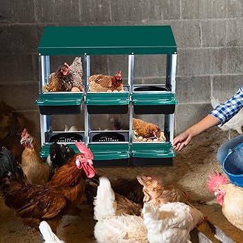 Slatted floor above a composting bin filled with composting material and worms, demonstrating the integrated composting system within the chicken coop.