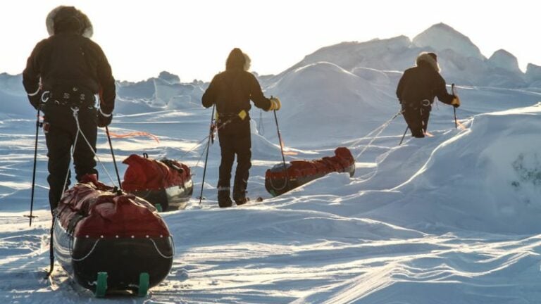 # Beyond Skiing: Unleashing Your Inner Daredevil w...
