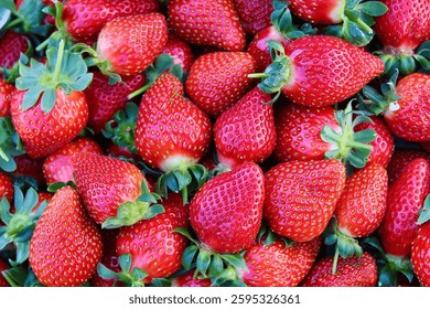 Blurred closeup background with strawberries