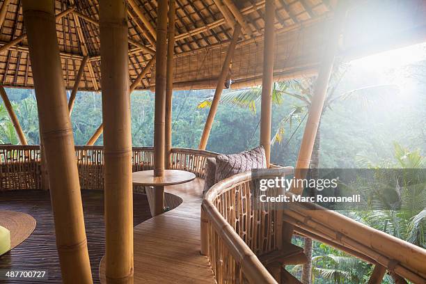 Close-ups of local ingredients at the cooking class: vibrant spices, fresh herbs, and colorful vegetables.
