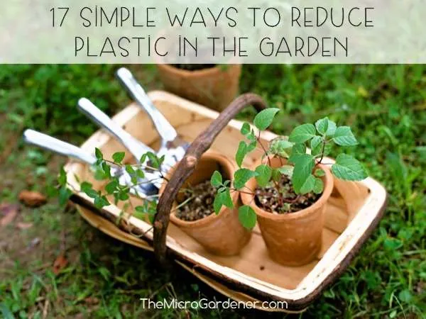 garden bed heavily mulched straw wood chips vegetables