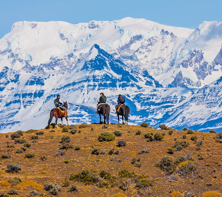 A close-up shot of a horse grazing in a snowy mountain environment with mountains in the background.
