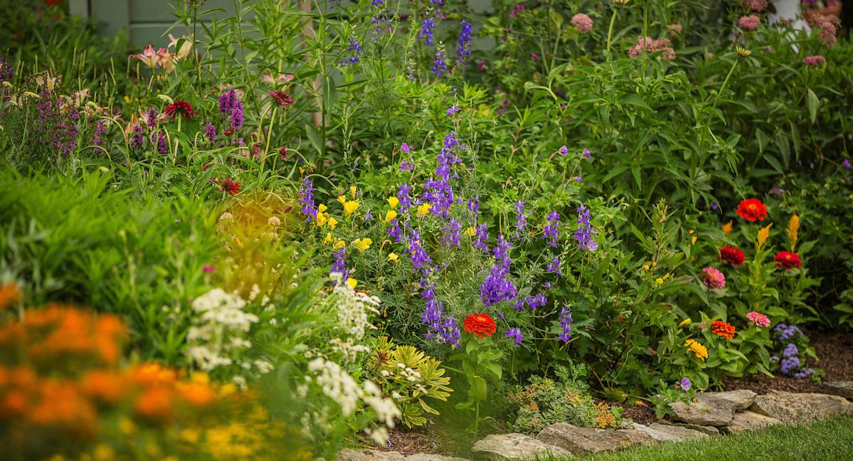 Hand sprinkling calendula seeds in garden