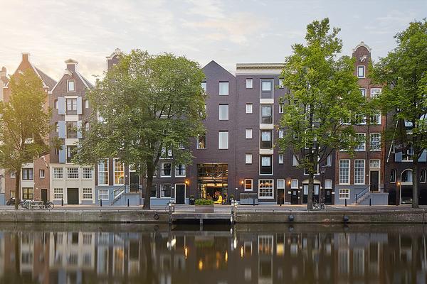 ## Amsterdam Dreams: Falling in Love with The Puli...