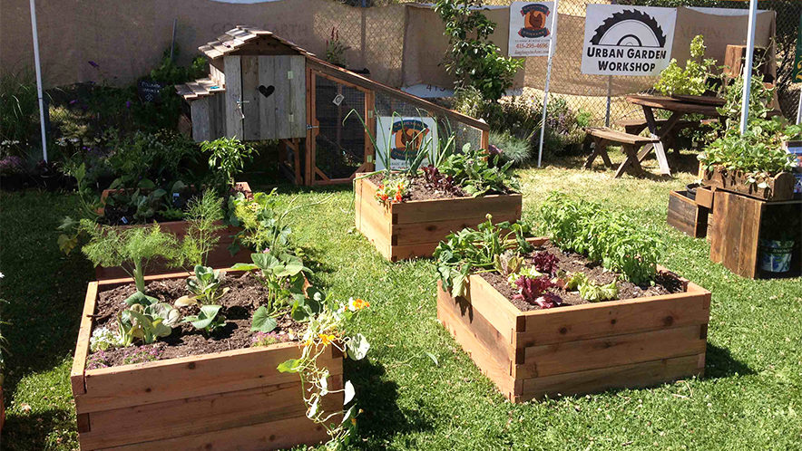 Suburban Coop Revolution: How Chicken Tractors A...