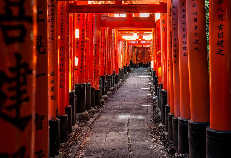The tea master pouring matcha during a traditional tea ceremony.